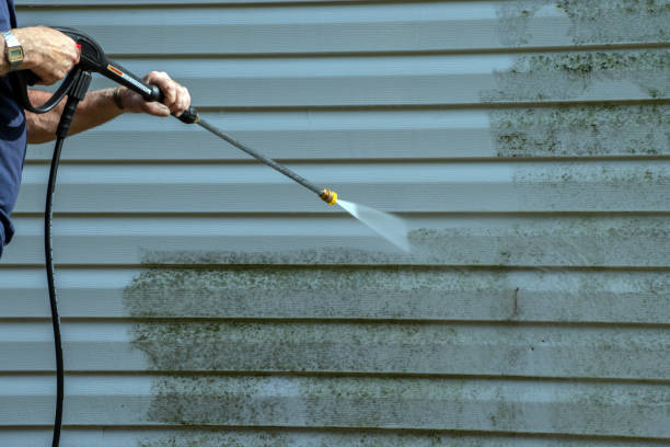 Best Graffiti Removal  in Sharpes, FL